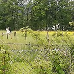 Hébergement de vacances Dom W Sudetach