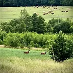 Dom W Sudetach Hébergement de vacances