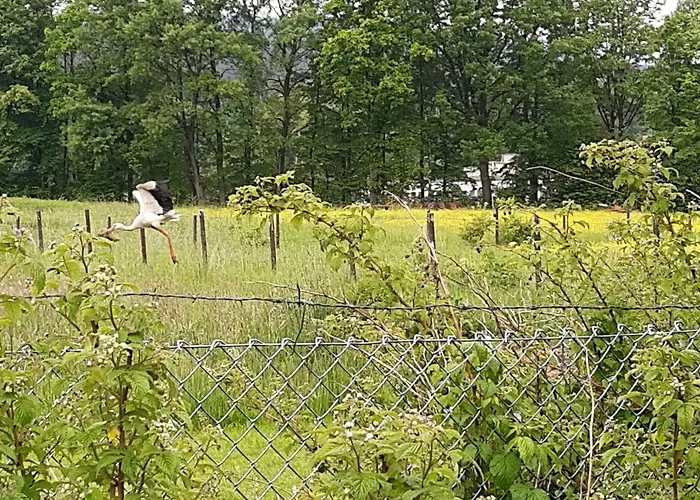 Prázdninový dům Dom W Sudetach