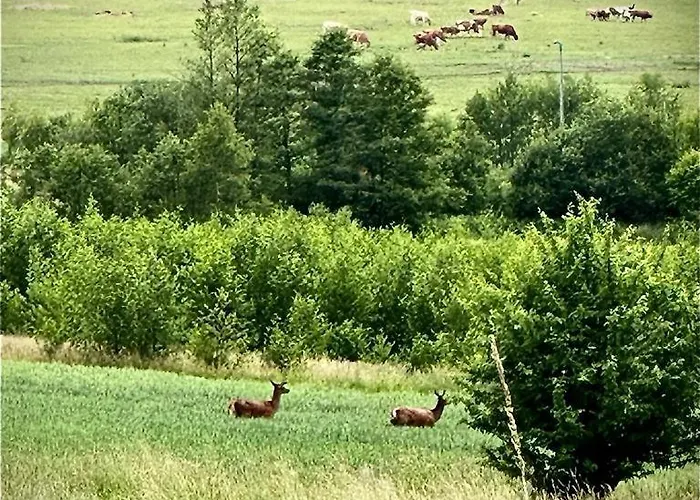 Dom W Sudetach Prázdninový dům